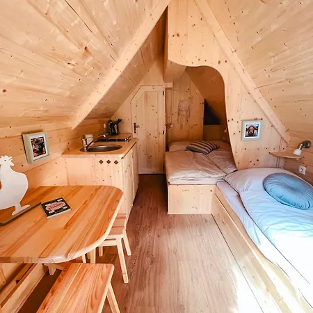 Tatil Evi Eifelhuettchen Rotkehlchen Ulmen