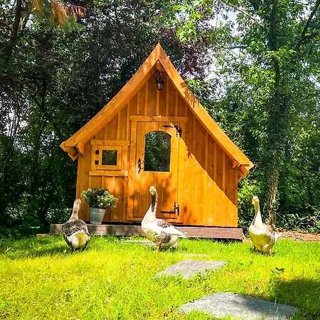 Eifelhuettchen Rotkehlchen Holiday home *