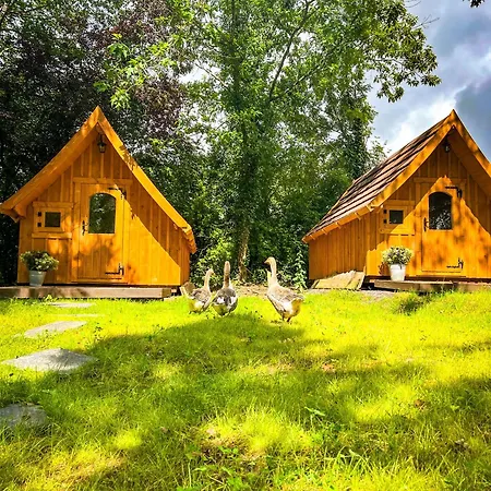 Eifelhuettchen Rotkehlchen Holiday home Ulmen