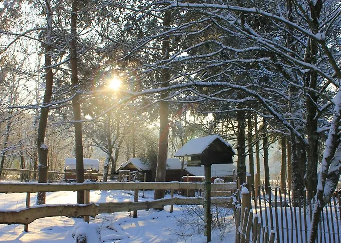 Prázdninový dům Eifelhuettchen Rotkehlchen