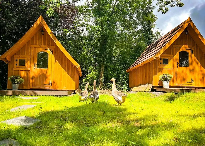 Eifelhuettchen Rotkehlchen Prázdninový dům Ulmen